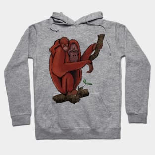 Orangutan Hoodie